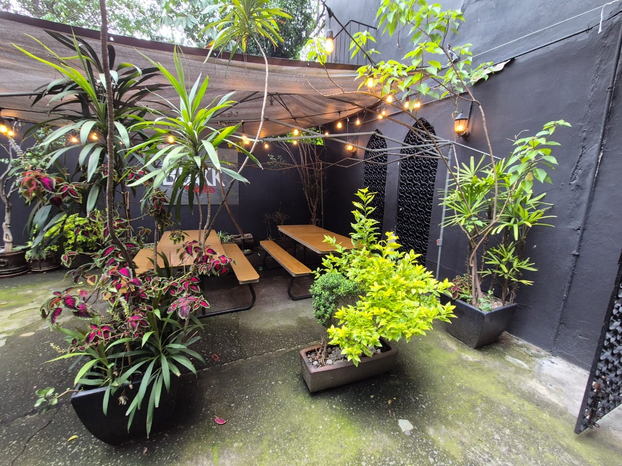 Patio exterior de Black Studio con plantas y luces